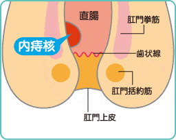 外科・肛門科