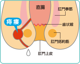 外科・肛門科